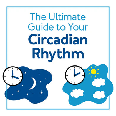 A graphic of clocks with text, "The Ultimate Guide to Your Circadian Rhythm"