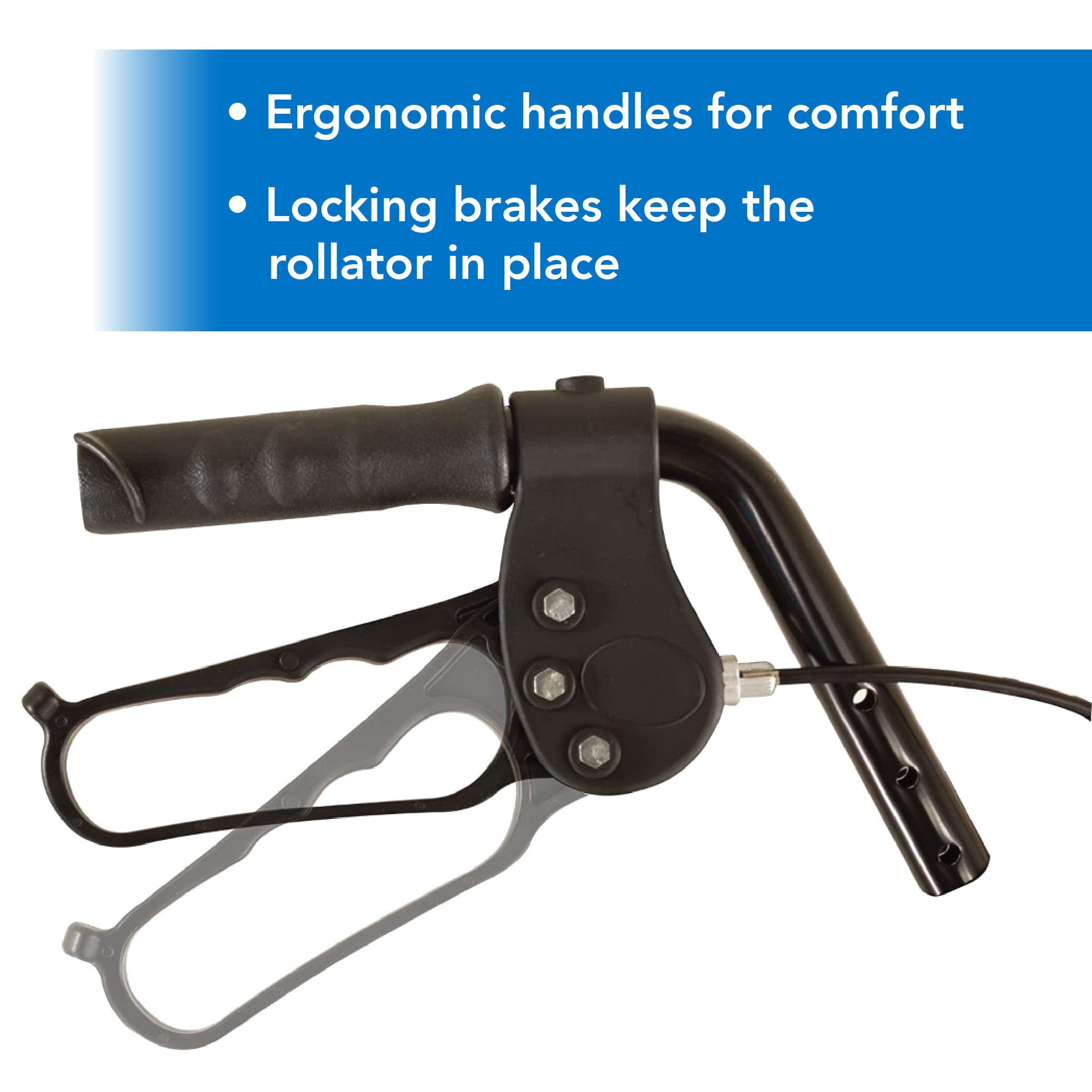 ProBasics Junior Rollator with 6-inch Wheels - Carex Health Brands