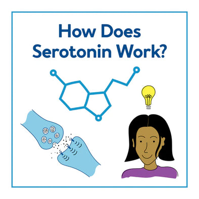 A graphic of a woman next to a bone and serotonin molecule. Text, "How Does Serotonin Work?"