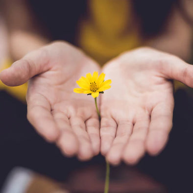 A person holding a flower between their hands