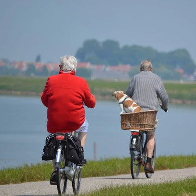 An elderly couple riding bikes